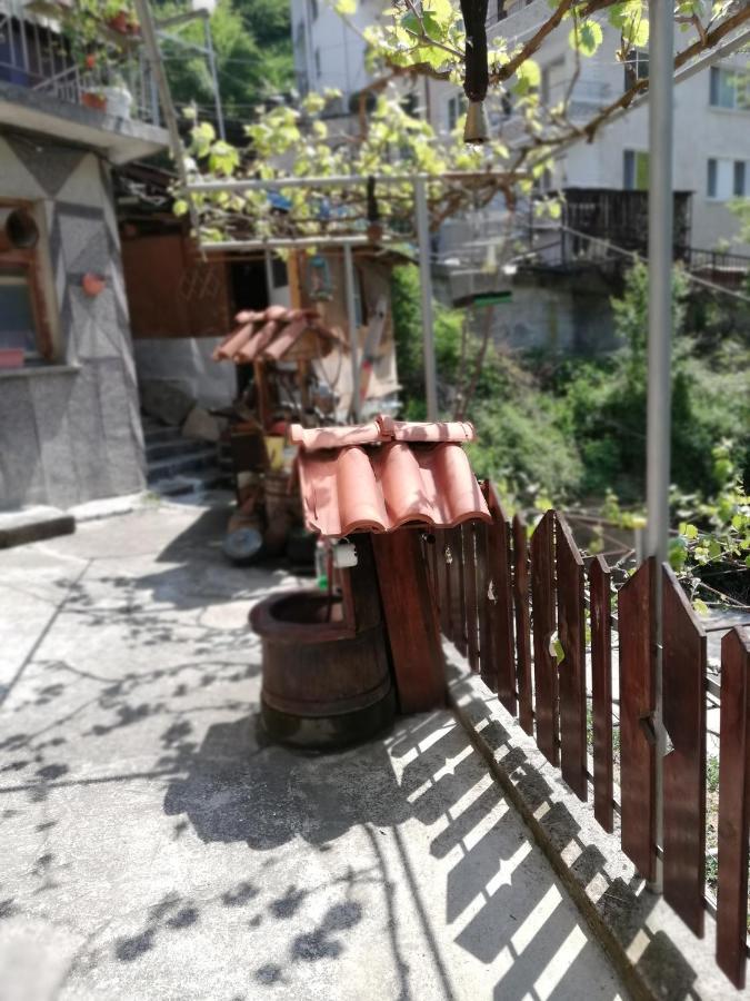 Дом Бакалски-Кмета Narechenski Bani المظهر الخارجي الصورة