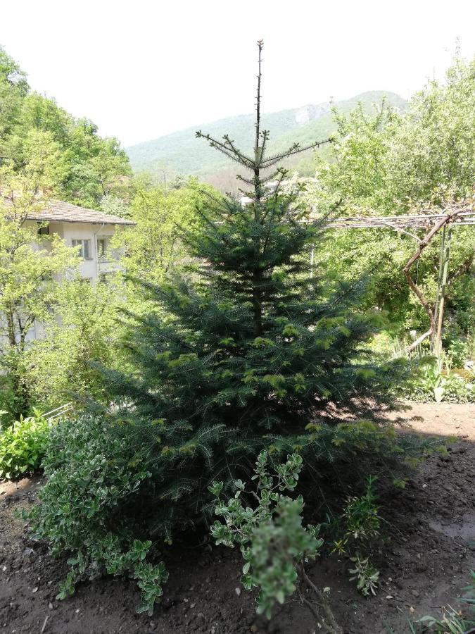 Дом Бакалски-Кмета Narechenski Bani المظهر الخارجي الصورة